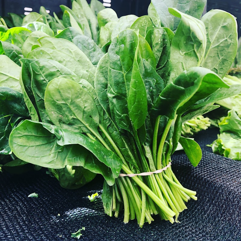 Espinacas, vegetal de hoja verde rico en potasio y magnesio